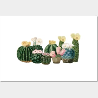 Cactus Garden Posters and Art